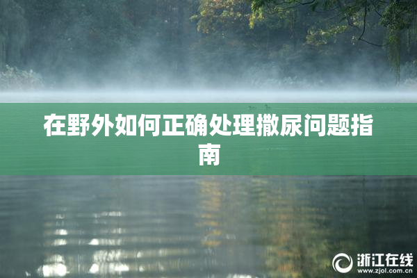 在野外如何正确处理撒尿问题指南