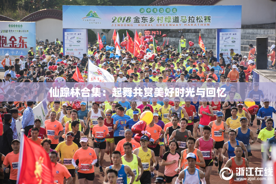 仙踪林合集：起舞共赏美好时光与回忆