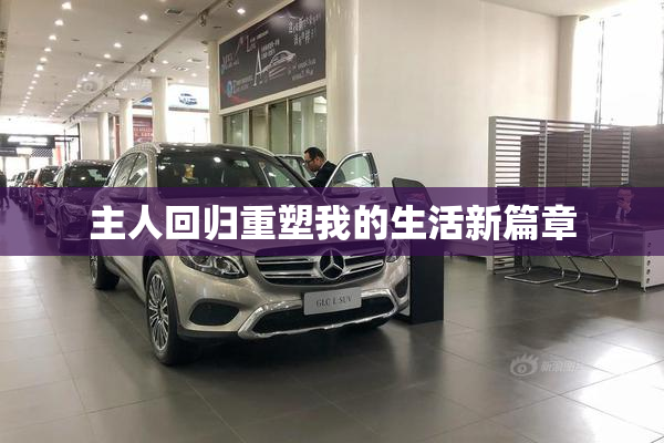 主人回归重塑我的生活新篇章