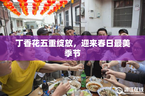 丁香花五重绽放，迎来春日最美季节