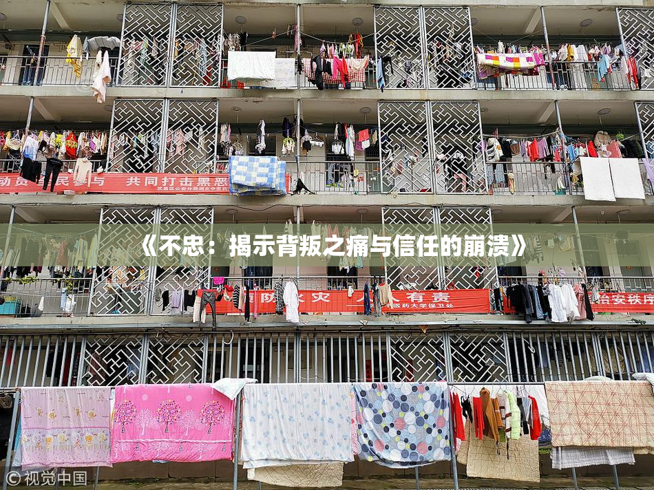 《不忠：揭示背叛之痛与信任的崩溃》