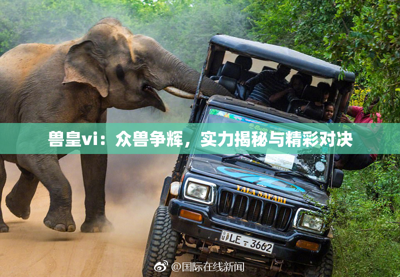兽皇vi：众兽争辉，实力揭秘与精彩对决