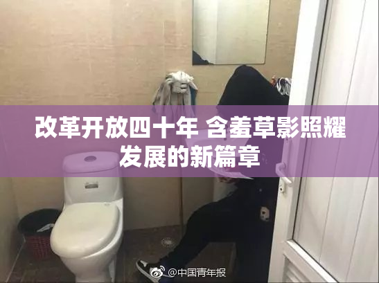 改革开放四十年 含羞草影照耀发展的新篇章