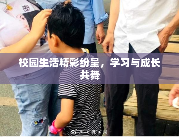 校园生活精彩纷呈，学习与成长共舞