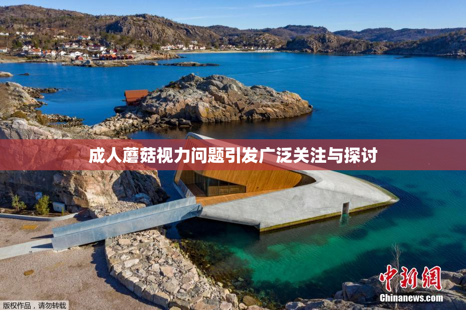 成人蘑菇视力问题引发广泛关注与探讨