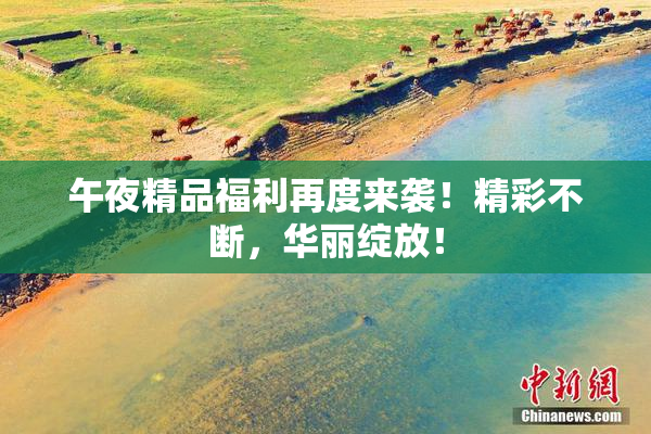 午夜精品福利再度来袭！精彩不断，华丽绽放！