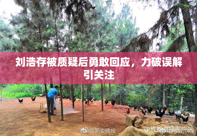 刘浩存被质疑后勇敢回应，力破误解引关注