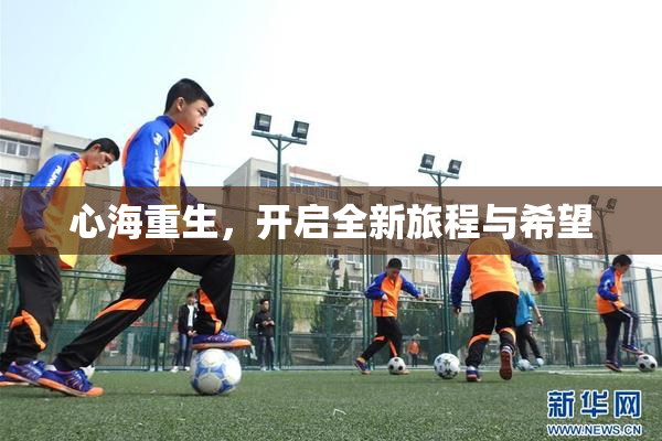 心海重生，开启全新旅程与希望