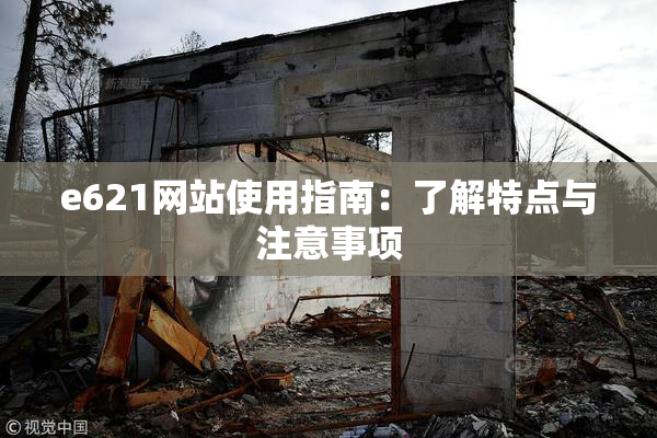 e621网站使用指南：了解特点与注意事项