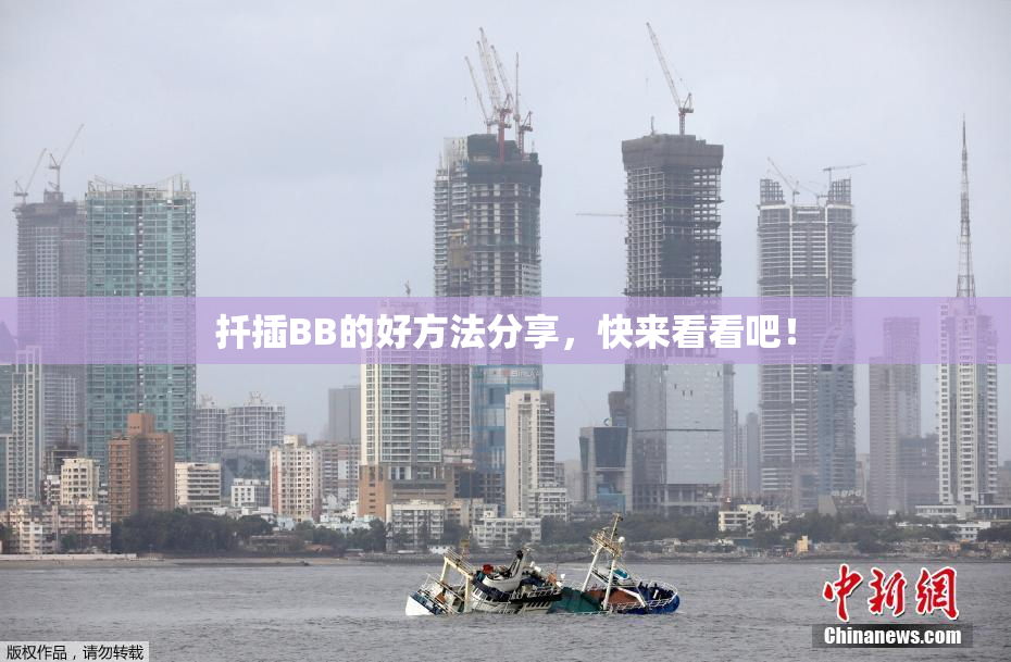 扦插BB的好方法分享，快来看看吧！