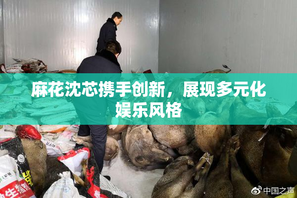 麻花沈芯携手创新，展现多元化娱乐风格