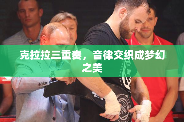 克拉拉三重奏，音律交织成梦幻之美
