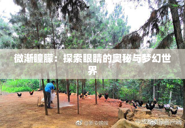 微渐瞳朦：探索眼睛的奥秘与梦幻世界