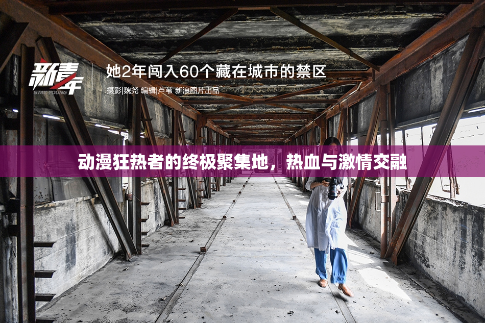 动漫狂热者的终极聚集地，热血与激情交融