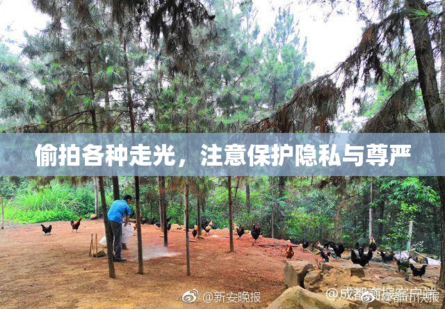 偷拍各种走光，注意保护隐私与尊严