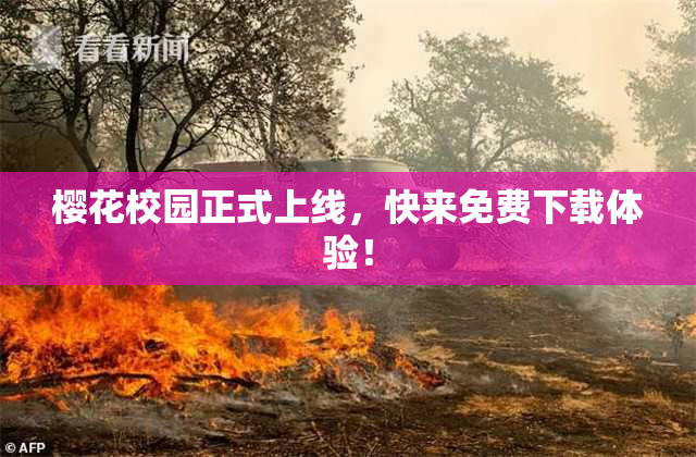 樱花校园正式上线，快来免费下载体验！