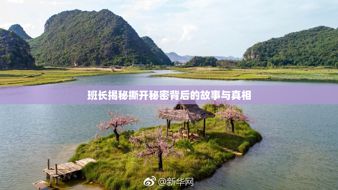 班长揭秘撕开秘密背后的故事与真相