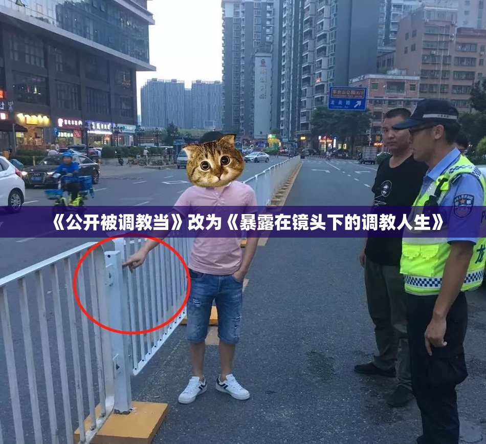 《公开被调教当》改为《暴露在镜头下的调教人生》
