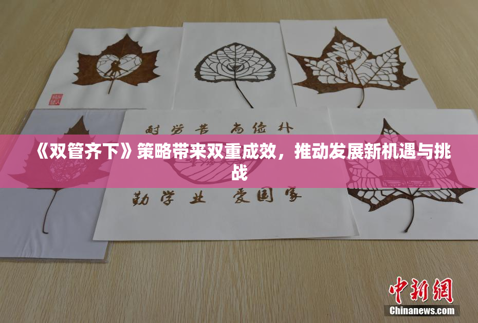 《双管齐下》策略带来双重成效，推动发展新机遇与挑战