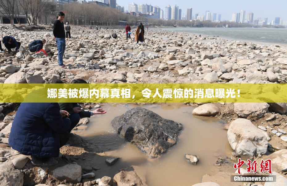 娜美被爆内幕真相，令人震惊的消息曝光！