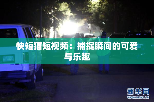 快短猫短视频：捕捉瞬间的可爱与乐趣