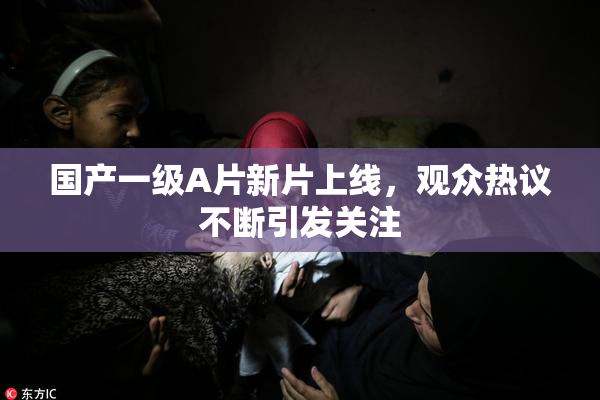 国产一级A片新片上线，观众热议不断引发关注