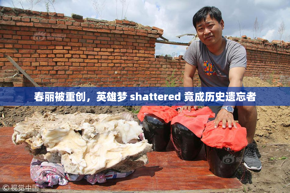 春丽被重创，英雄梦 shattered 竟成历史遗忘者