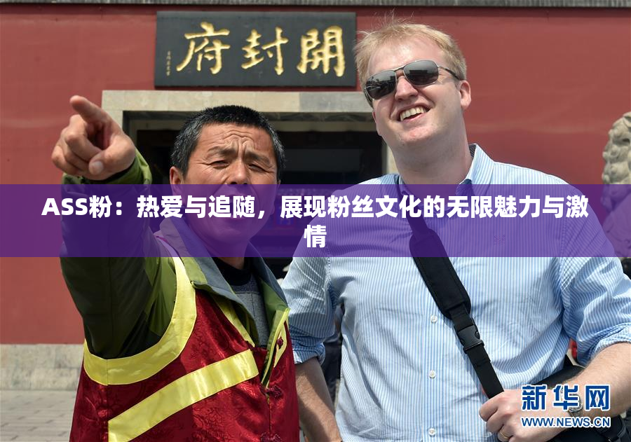 ASS粉：热爱与追随，展现粉丝文化的无限魅力与激情