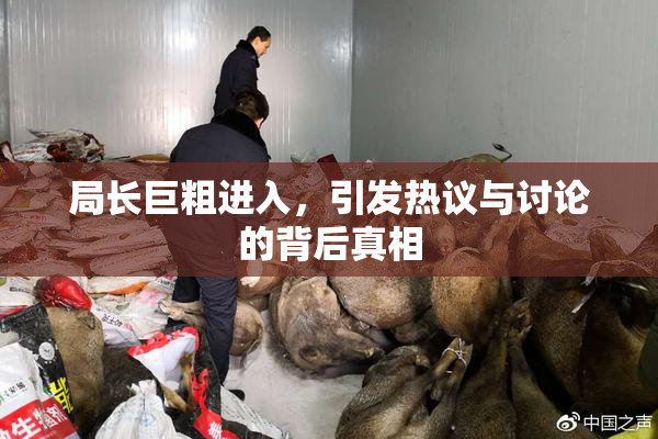 局长巨粗进入，引发热议与讨论的背后真相