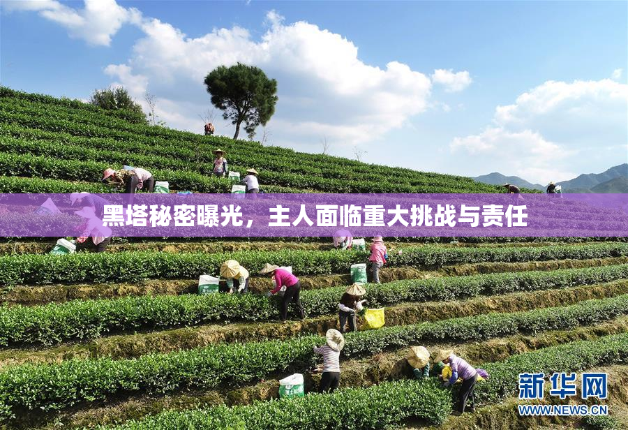 黑塔秘密曝光，主人面临重大挑战与责任