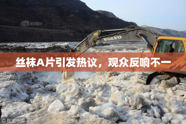 丝袜A片引发热议，观众反响不一