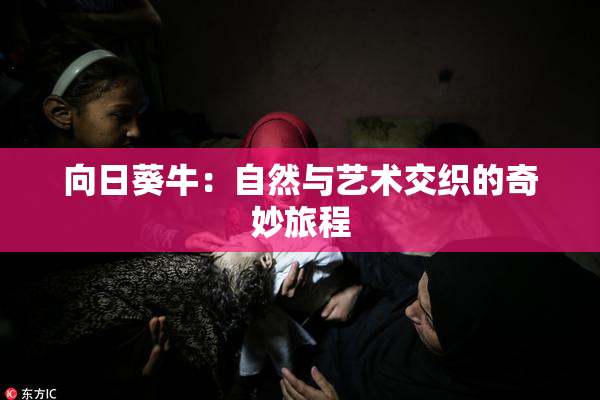 向日葵牛：自然与艺术交织的奇妙旅程