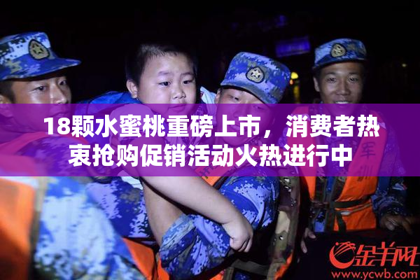 18颗水蜜桃重磅上市，消费者热衷抢购促销活动火热进行中