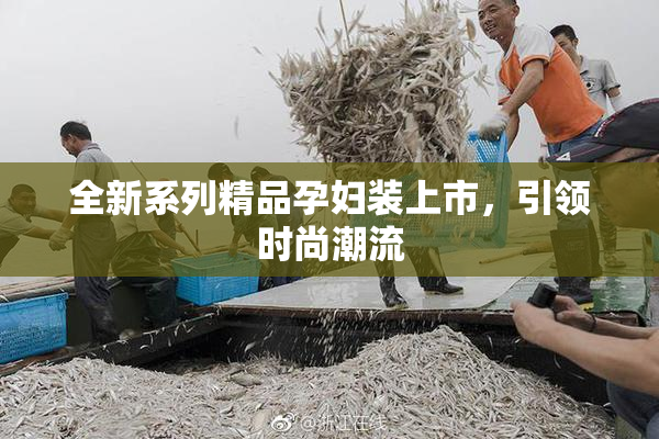 全新系列精品孕妇装上市，引领时尚潮流
