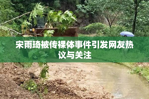 宋雨琦被传裸体事件引发网友热议与关注