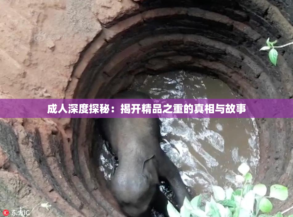 成人深度探秘：揭开精品之重的真相与故事