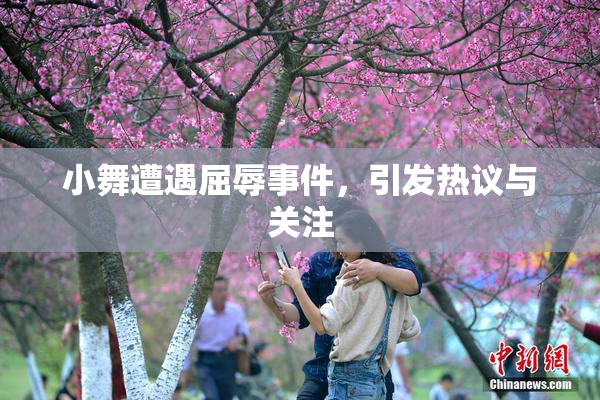 小舞遭遇屈辱事件，引发热议与关注