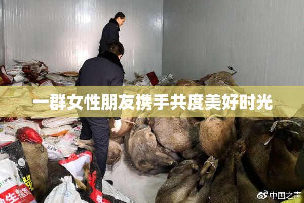 一群女性朋友携手共度美好时光