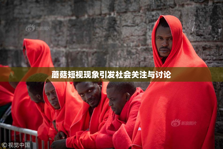 蘑菇短视现象引发社会关注与讨论