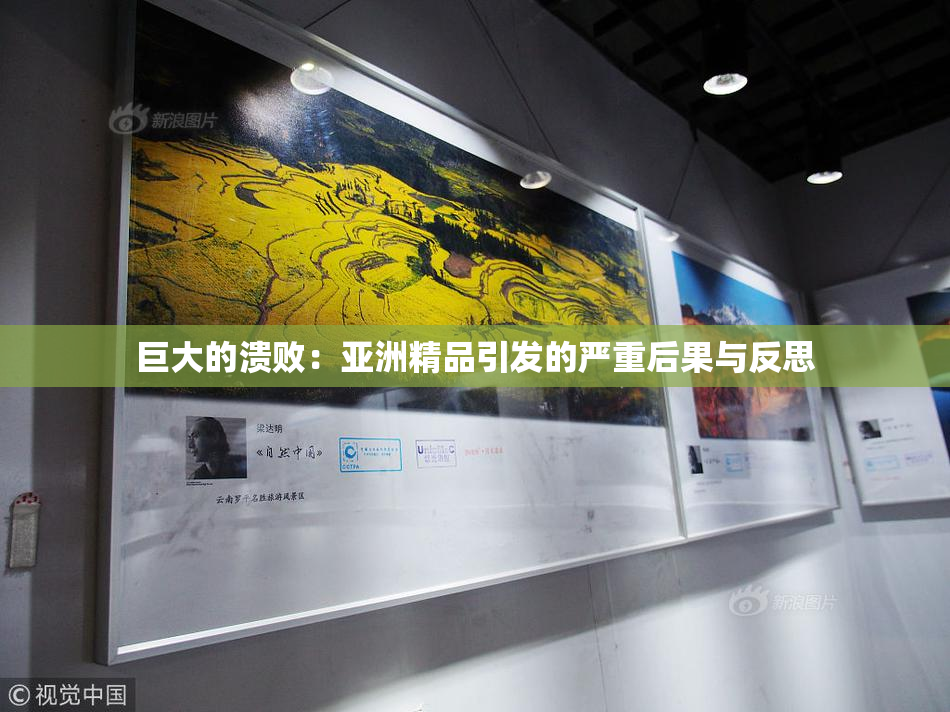 巨大的溃败：亚洲精品引发的严重后果与反思