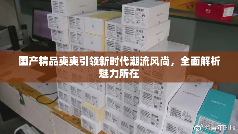 国产精品爽爽引领新时代潮流风尚，全面解析魅力所在