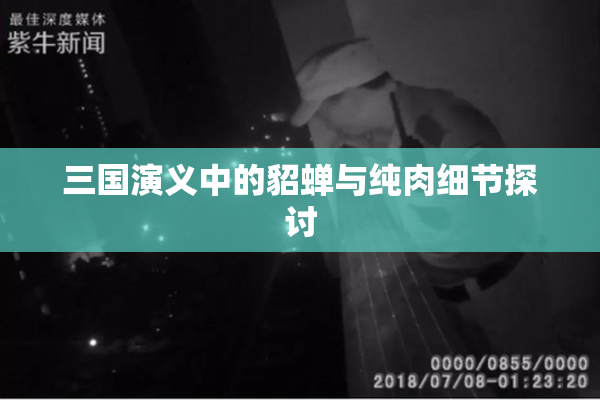 三国演义中的貂蝉与纯肉细节探讨