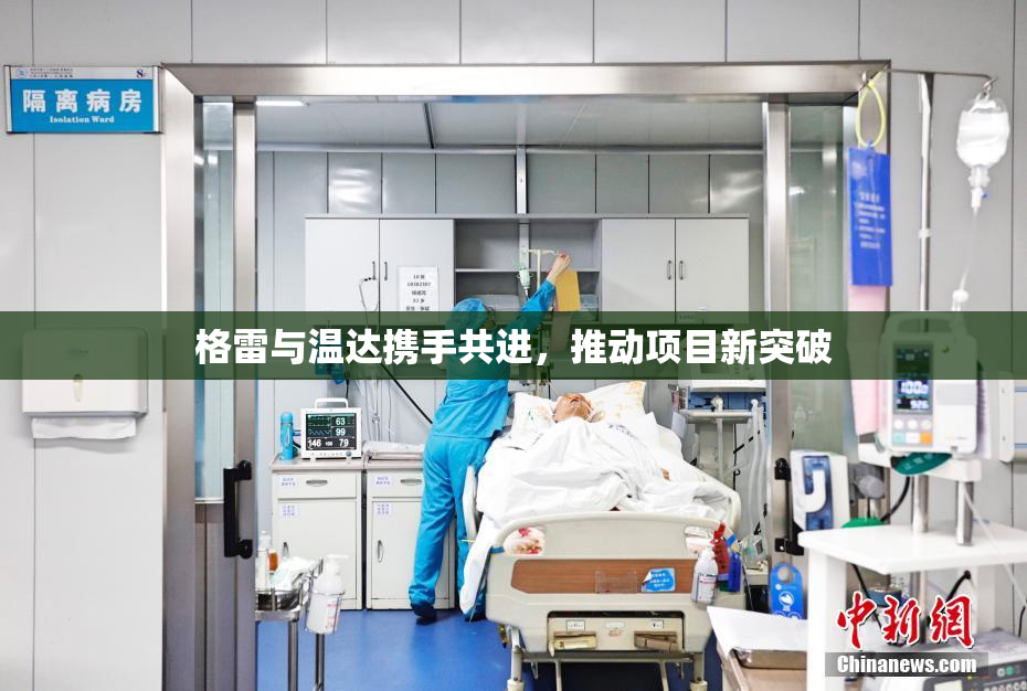 格雷与温达携手共进，推动项目新突破