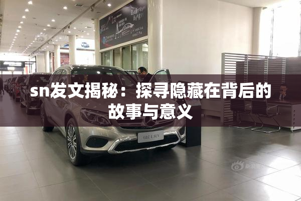 sn发文揭秘：探寻隐藏在背后的故事与意义