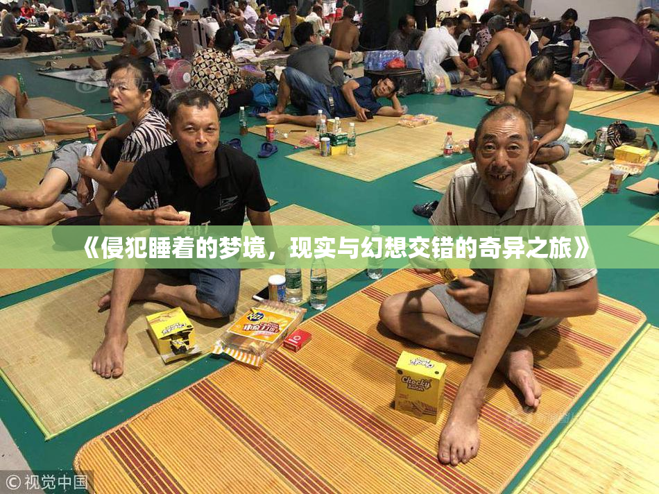 《侵犯睡着的梦境，现实与幻想交错的奇异之旅》
