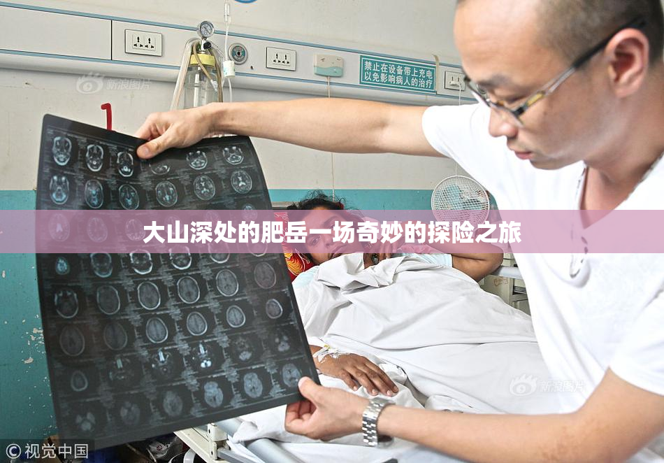 大山深处的肥岳一场奇妙的探险之旅