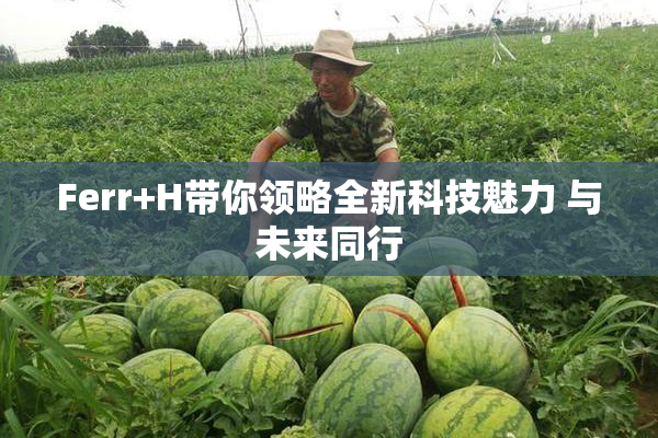 Ferr+H带你领略全新科技魅力 与未来同行