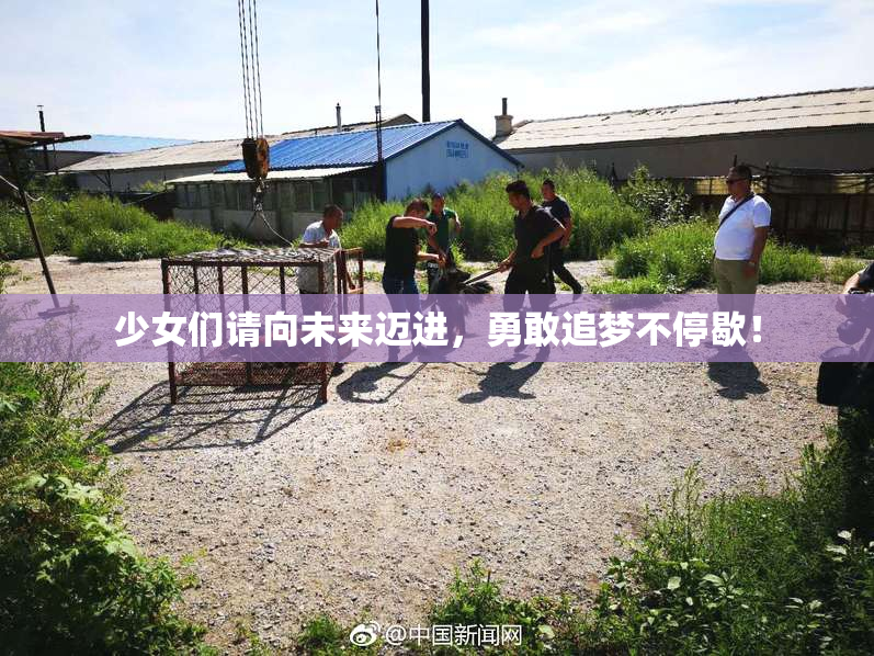 少女们请向未来迈进，勇敢追梦不停歇！