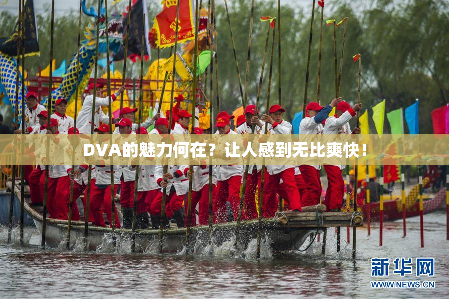 DVA的魅力何在？让人感到无比爽快！