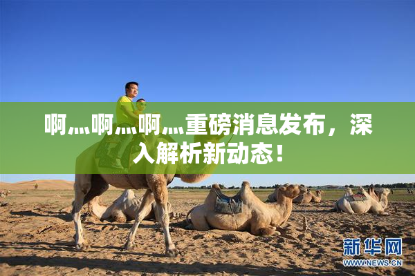 啊灬啊灬啊灬重磅消息发布，深入解析新动态！